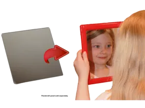 1-Pack Plastic Mirror Insert!