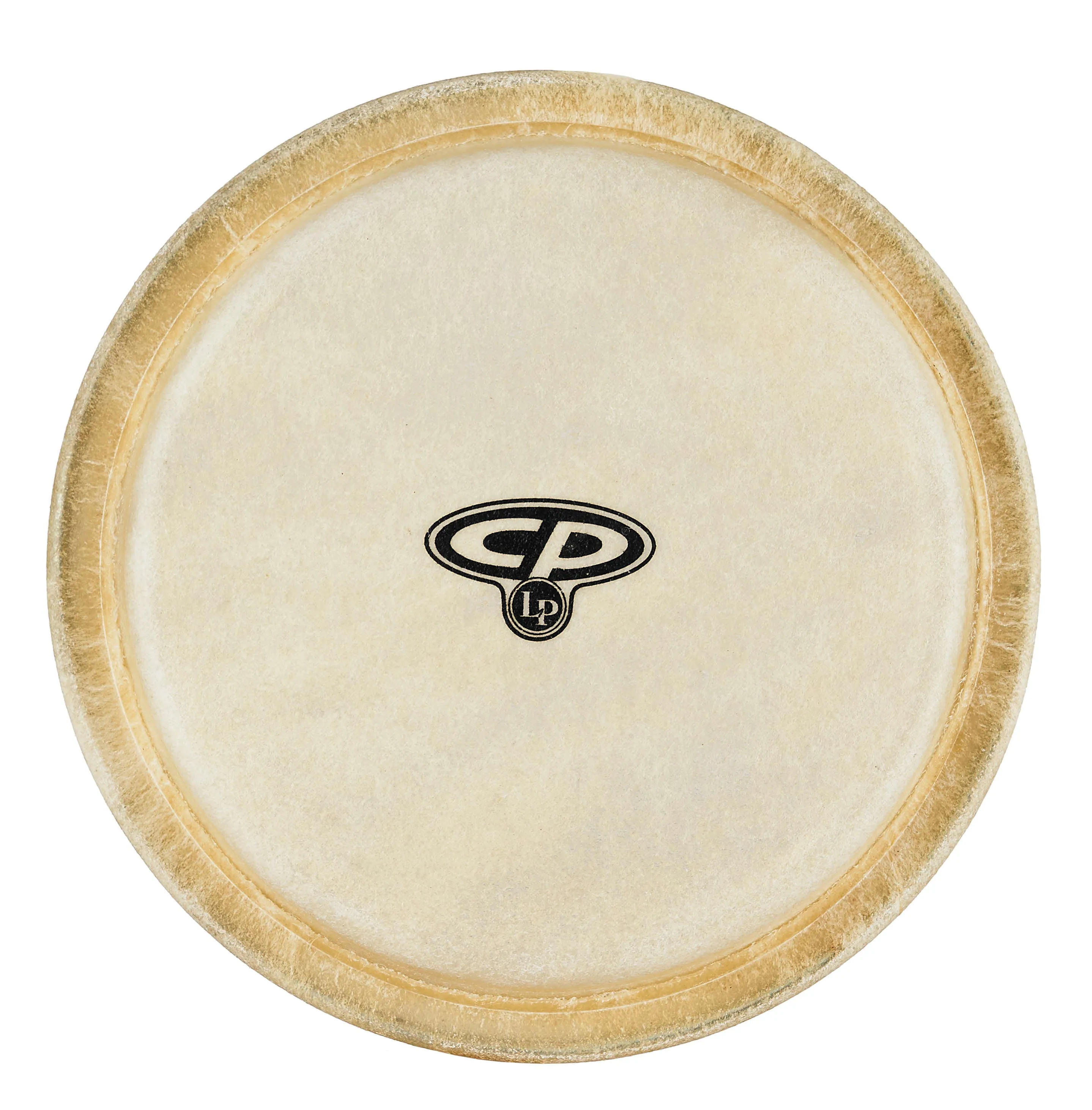 10" Premounted Head for CP626