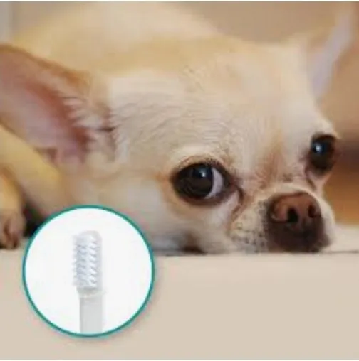 2.0 Mira Pet Single Brush Head (2 Pack)