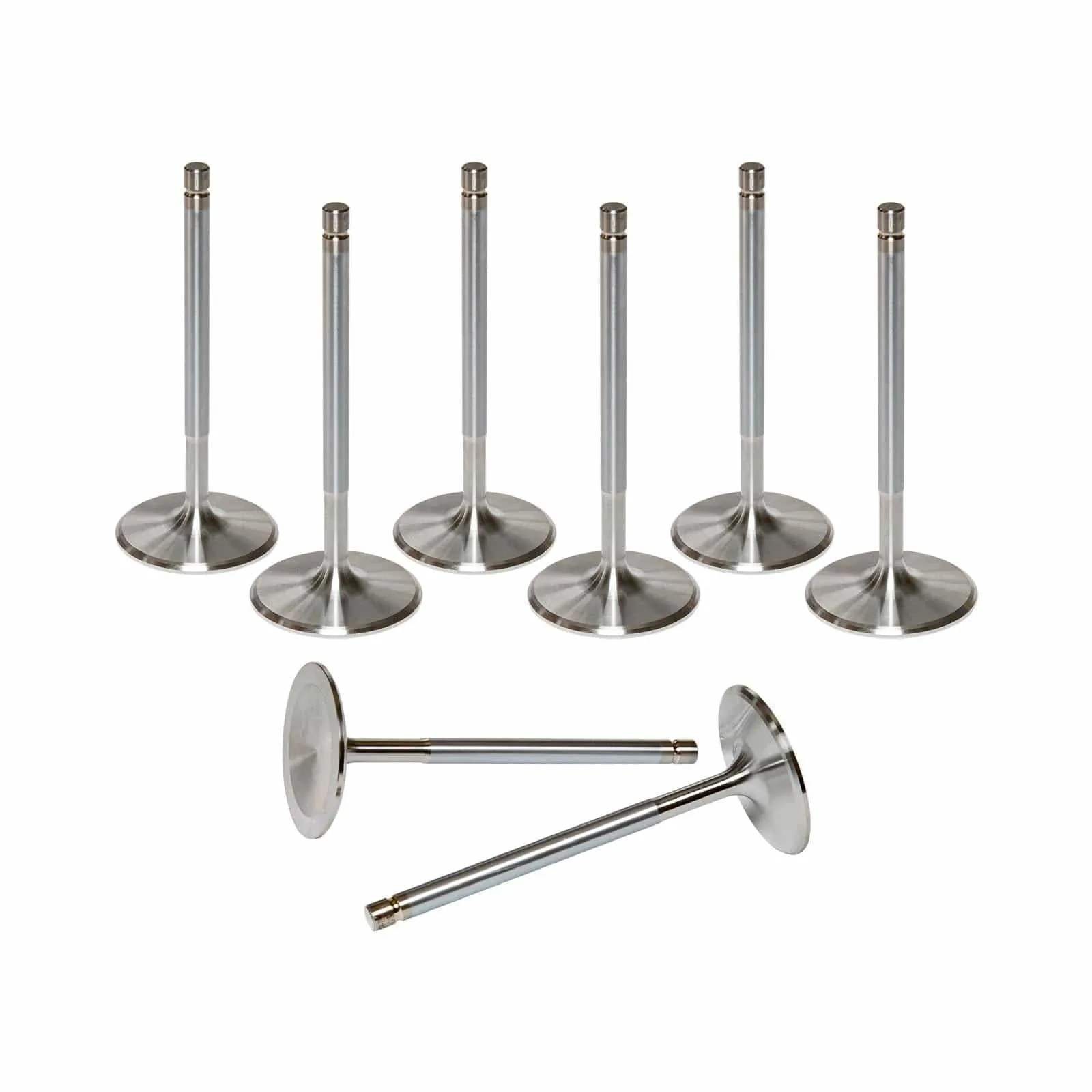 AFR Replacement Stainless Steel Valves 7255-8