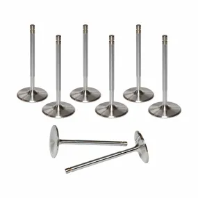 AFR Replacement Stainless Steel Valves 7256-8