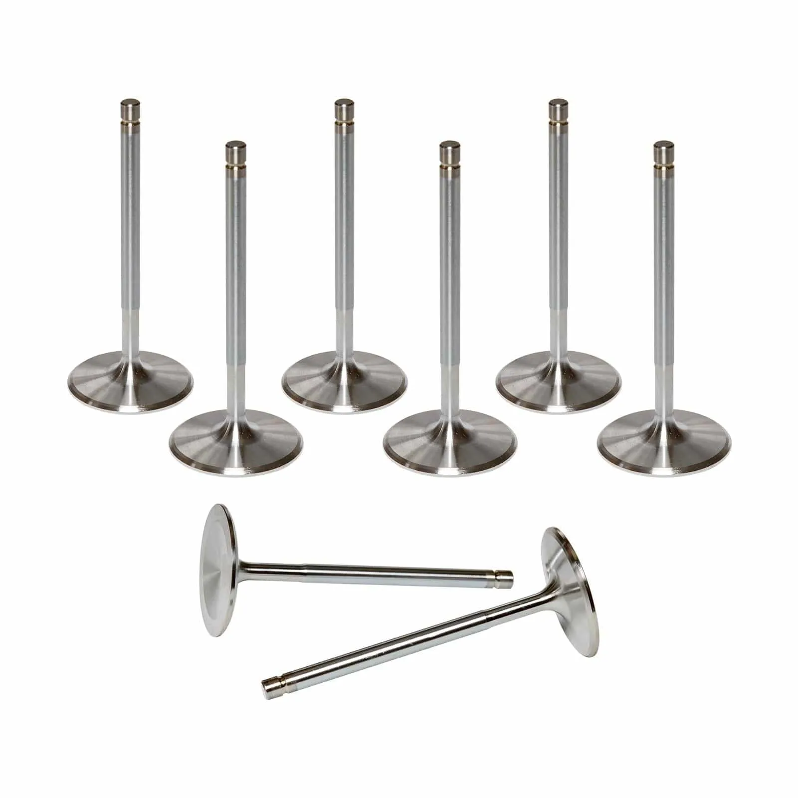 AFR Replacement Stainless Steel Valves 7256-8