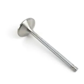AFR Replacement Stainless Steel Valves 7631-1