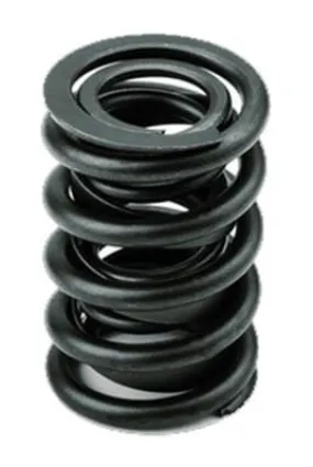 AFR Replacement Valve Springs 8016-16
