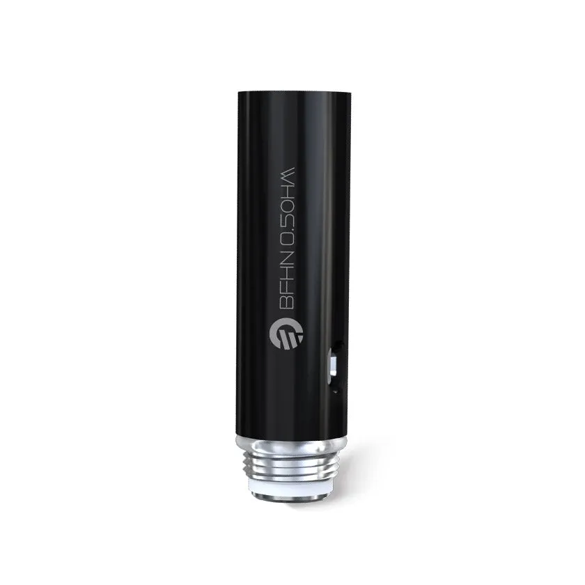 BFHN Coil Heads 0.5ohm (5Pack) by JOYETECH