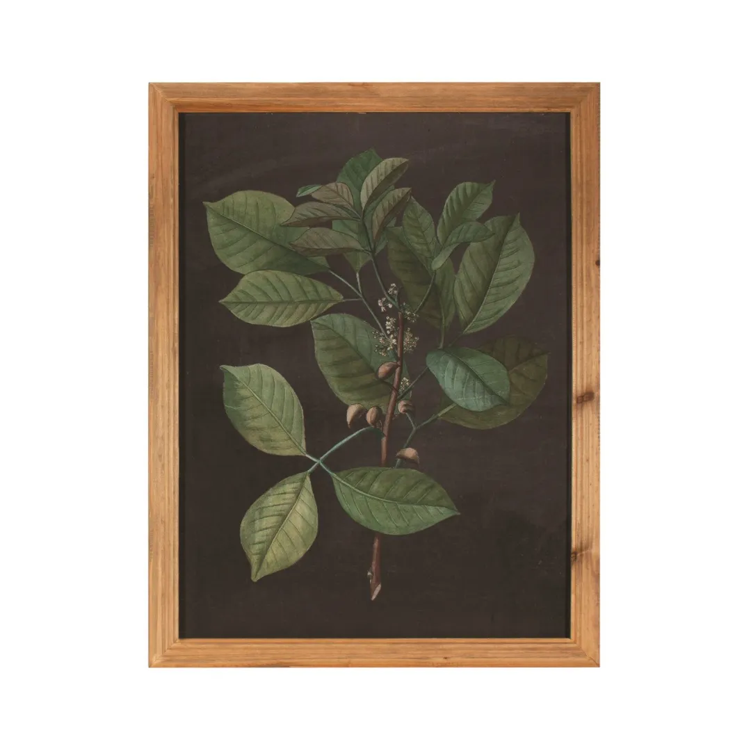 Botanical Leaf Art II