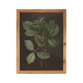 Botanical Leaf Art II