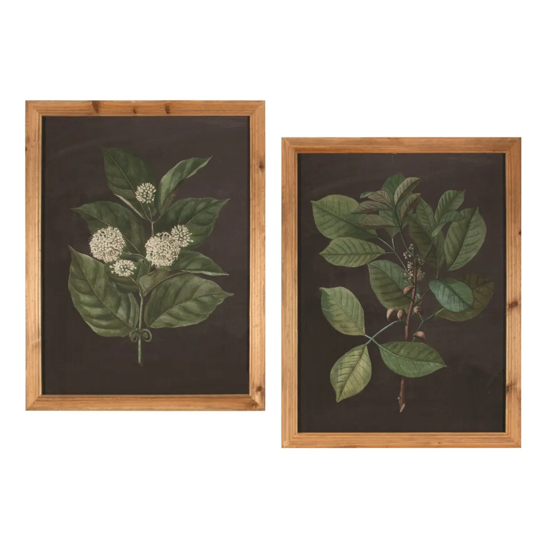 Botanical Leaf Art II