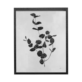 Botanical Study Wall Art II