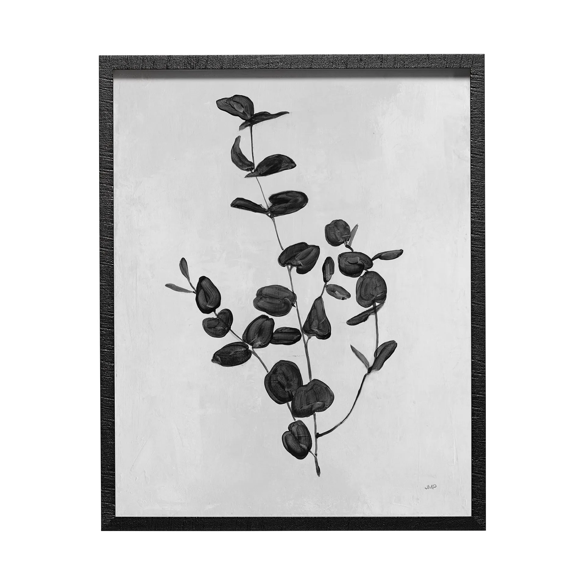 Botanical Study Wall Art II