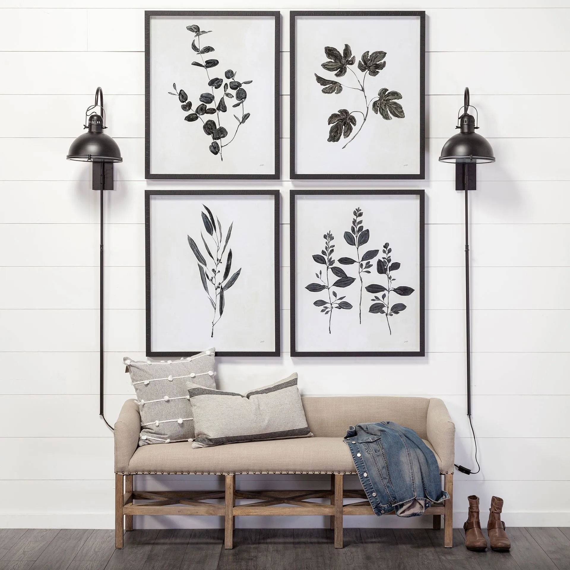 Botanical Study Wall Art II