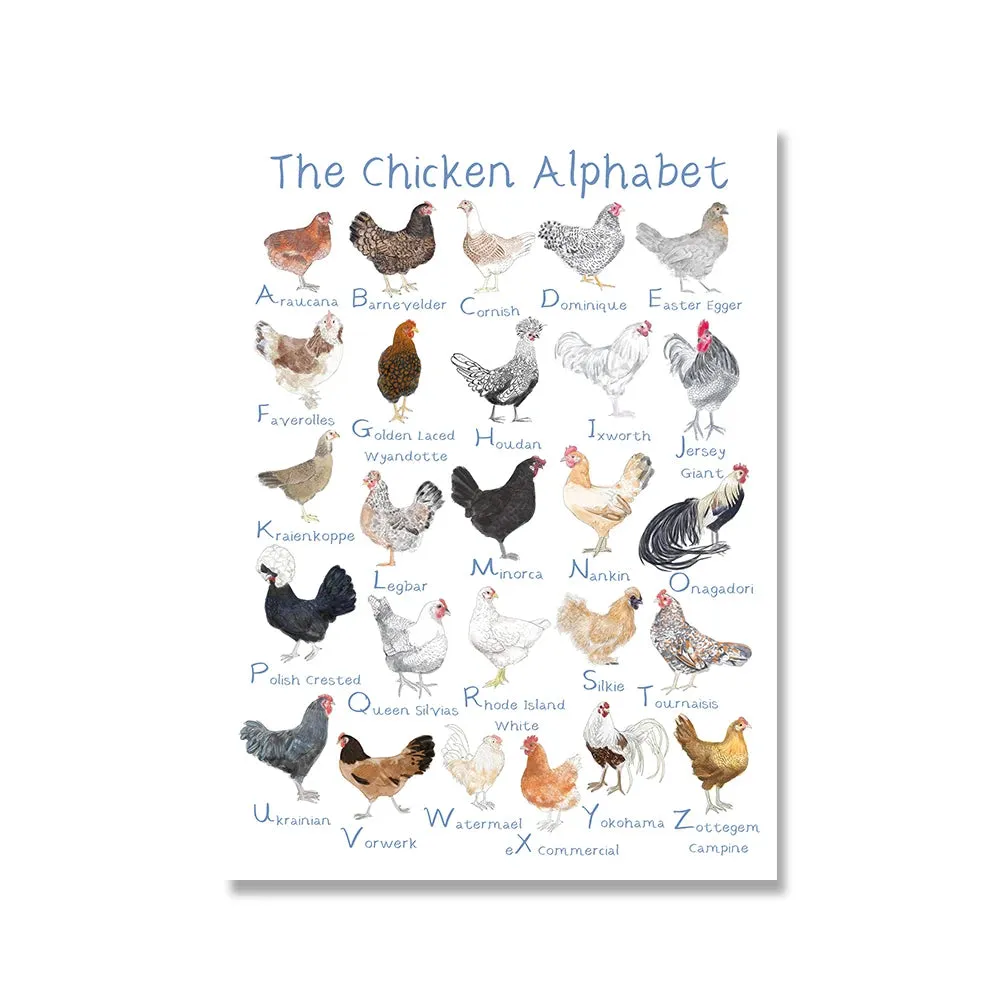 Chicken and Egg Education Canvas Poster