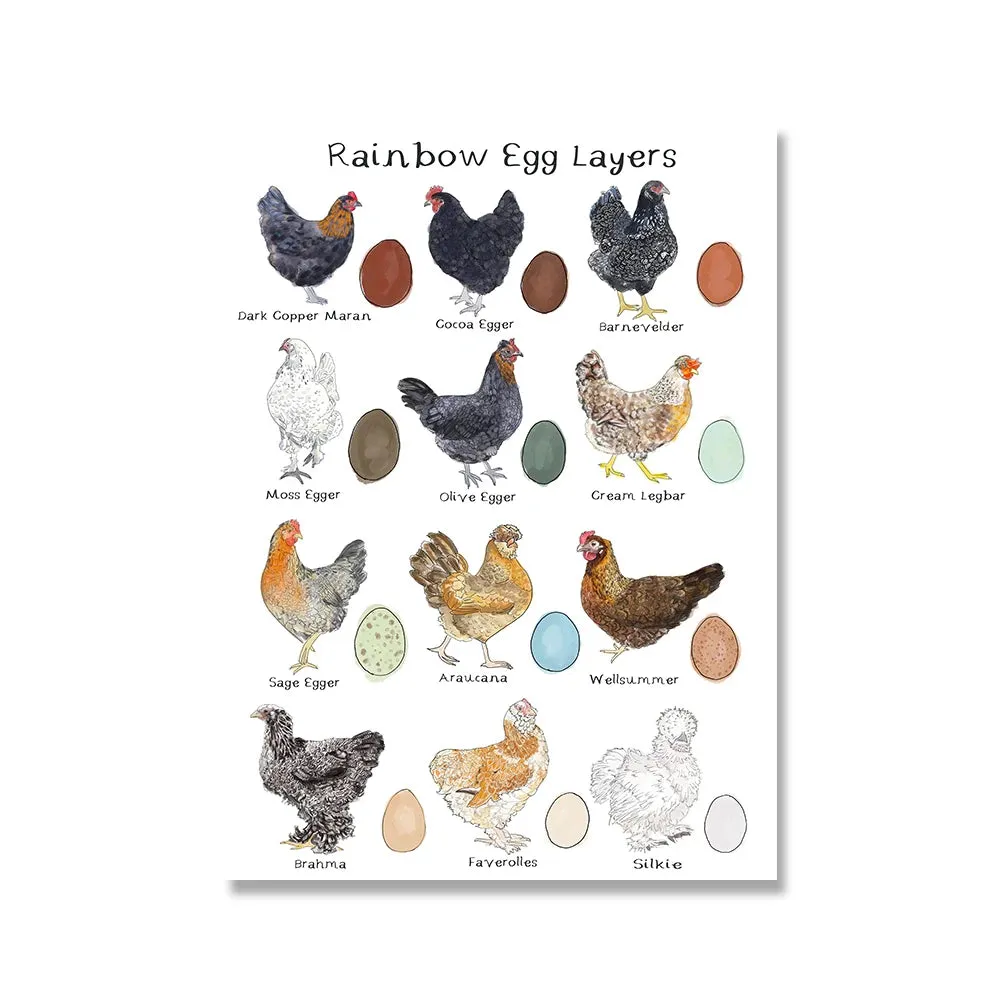 Chicken and Egg Education Canvas Poster