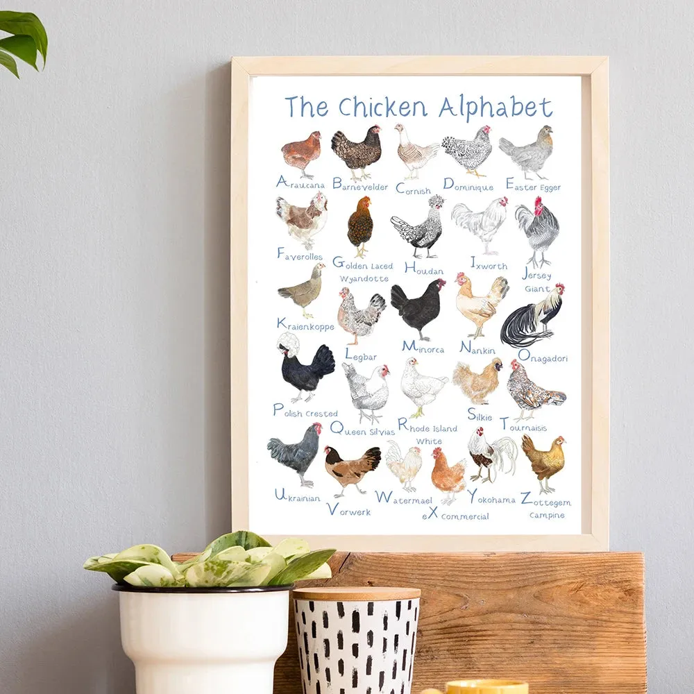 Chicken and Egg Education Canvas Poster