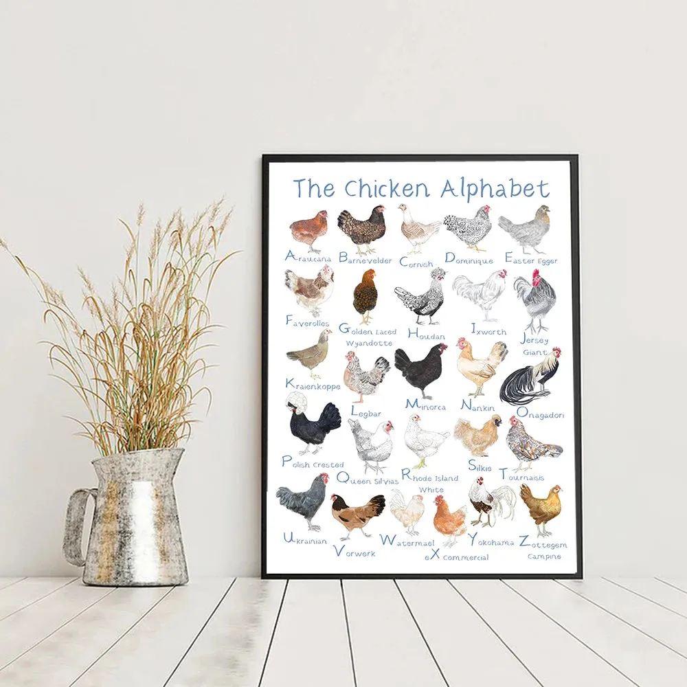 Chicken and Egg Education Canvas Poster