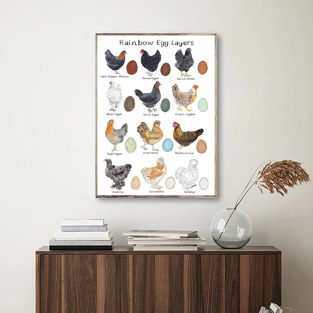 Chicken and Egg Education Canvas Poster