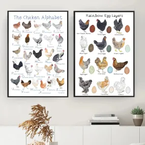 Chicken and Egg Education Canvas Poster