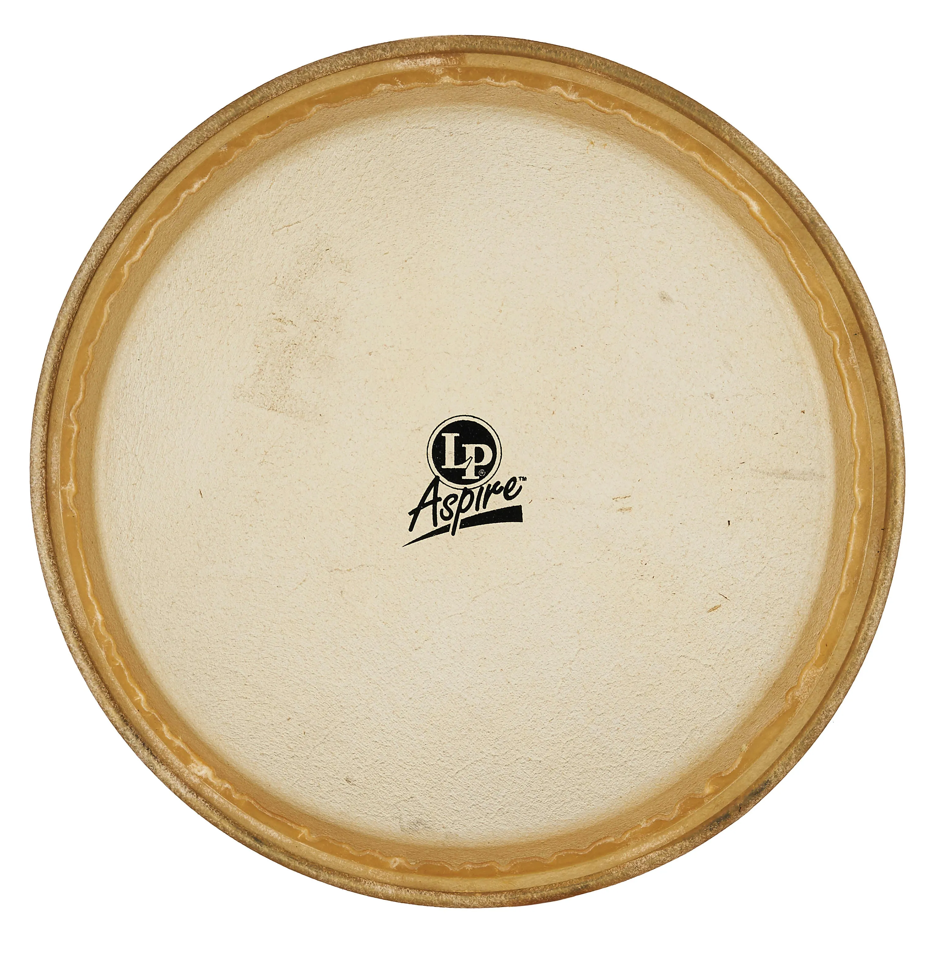 Conga Replacement Head, 11"