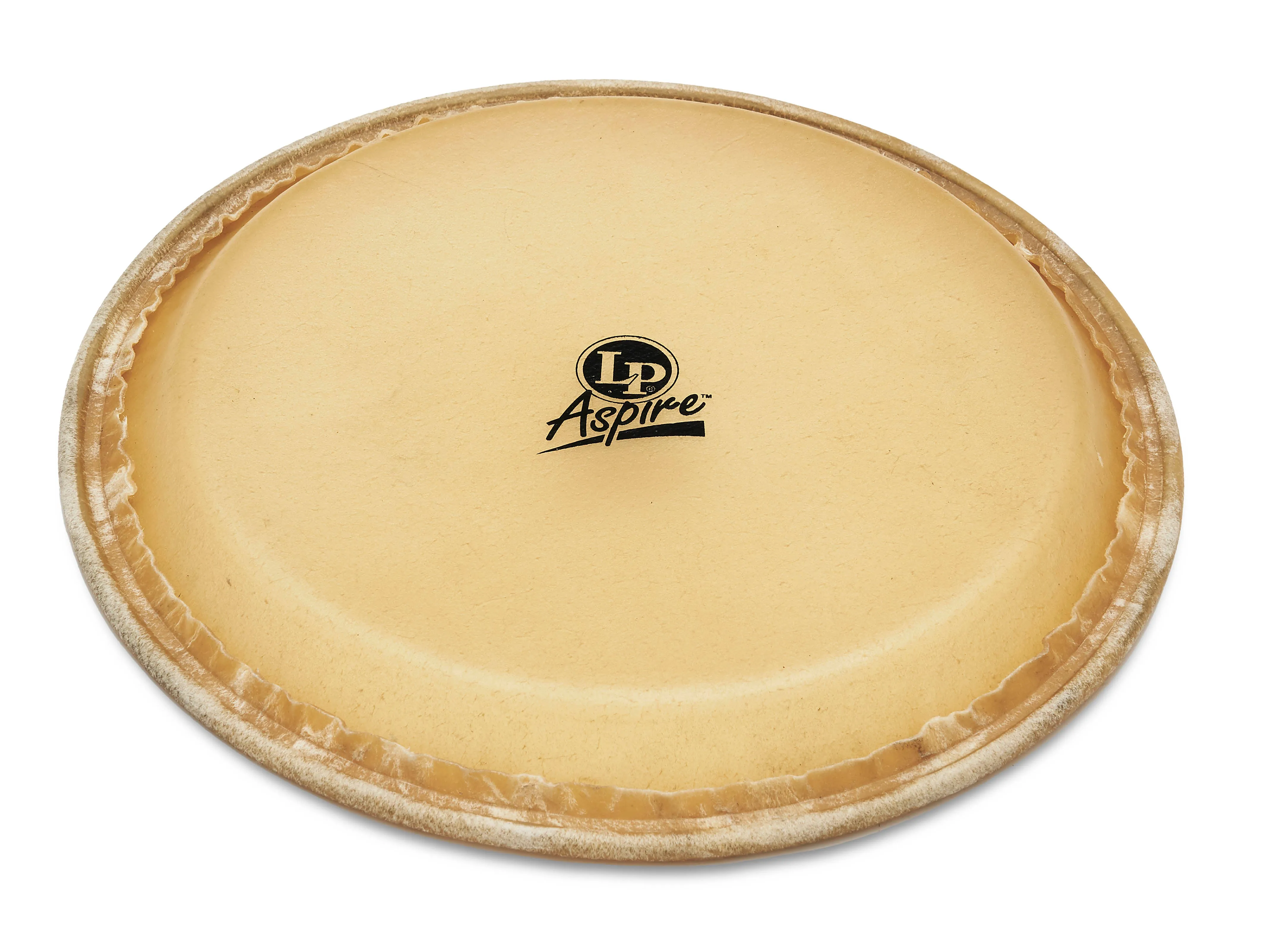 CP MTD Conga Head, 11"