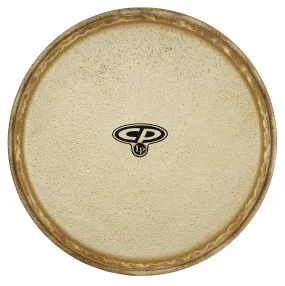 CP MTD Conga Head, 12"