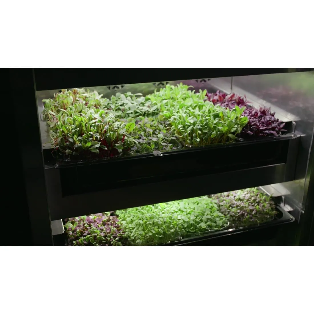 DF966 Evogro Plant Growing System 40132-WS R