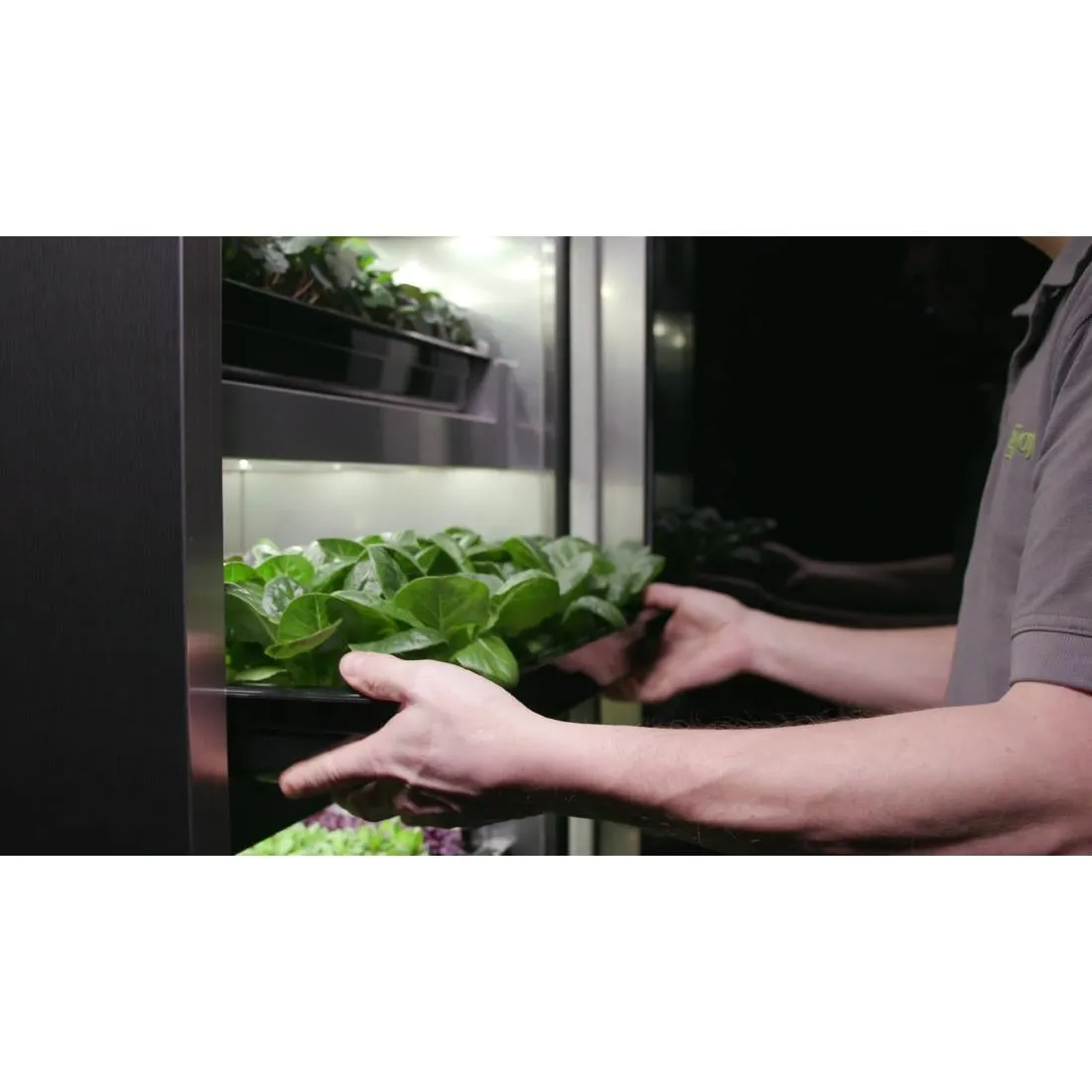 DF966 Evogro Plant Growing System 40132-WS R