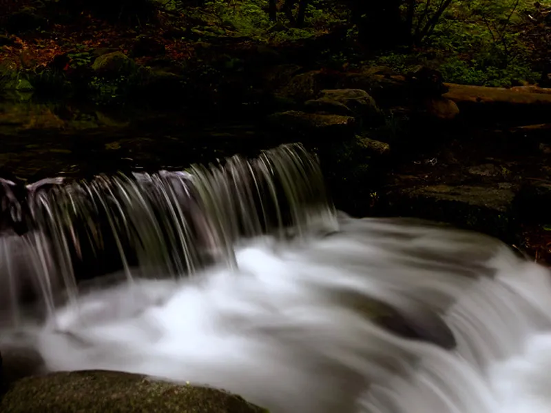 In the Field: Creative Smartphone Photography