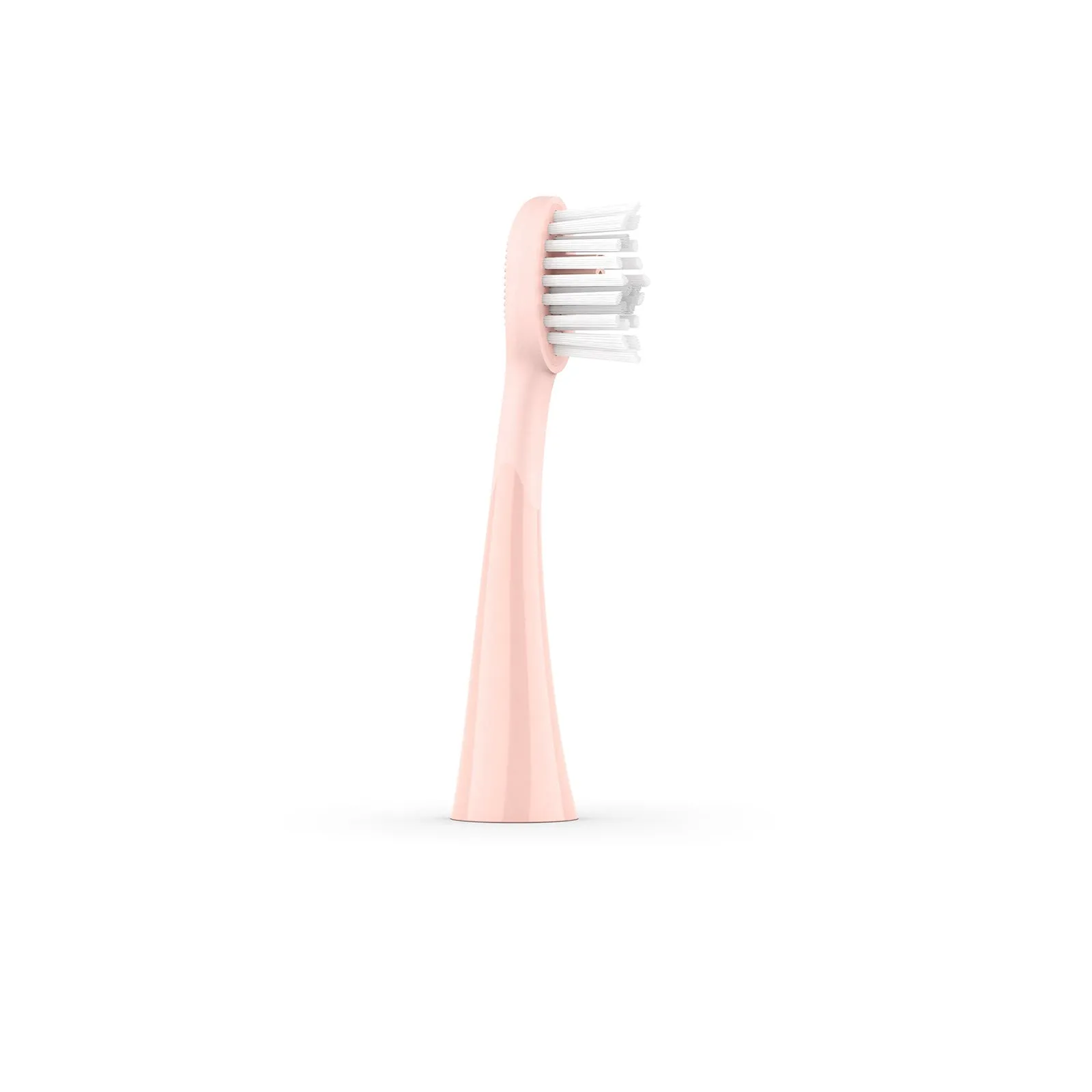 Ordo Sonic Brush Head Rose Gold | Petal 4x