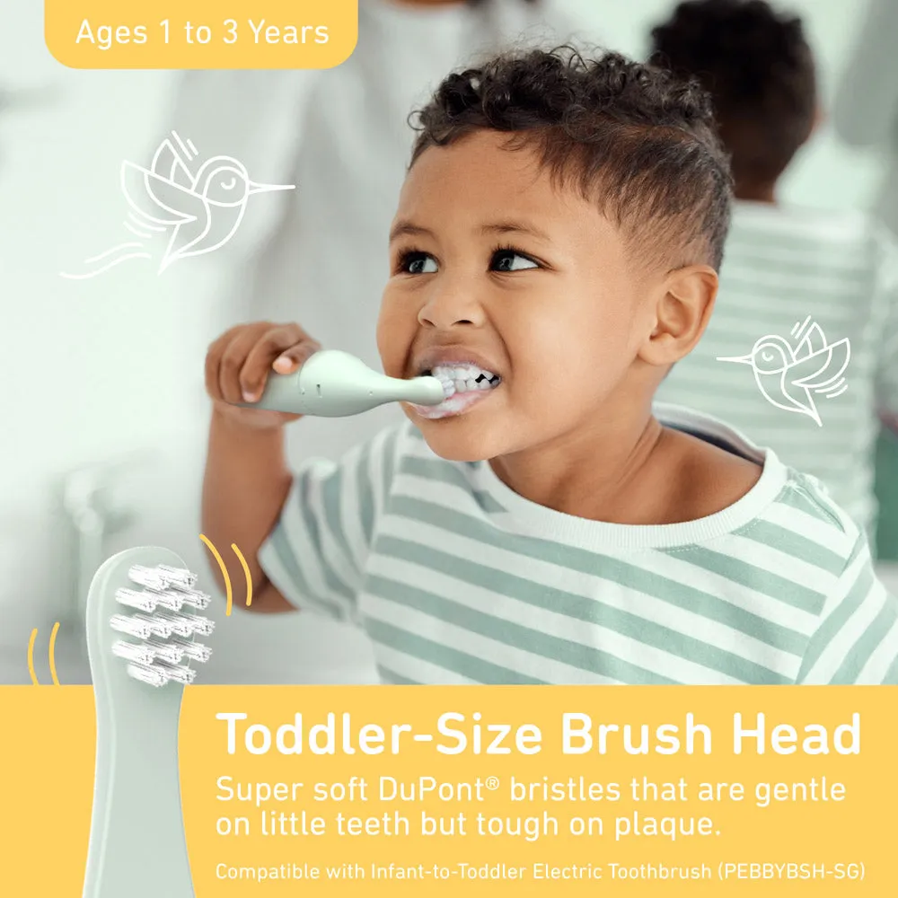 PureBaby Infant-to-Toddler Electric Toothbrush (PEBBYBSH-SG) - 2-Pack Replacement Bristle Brush Heads