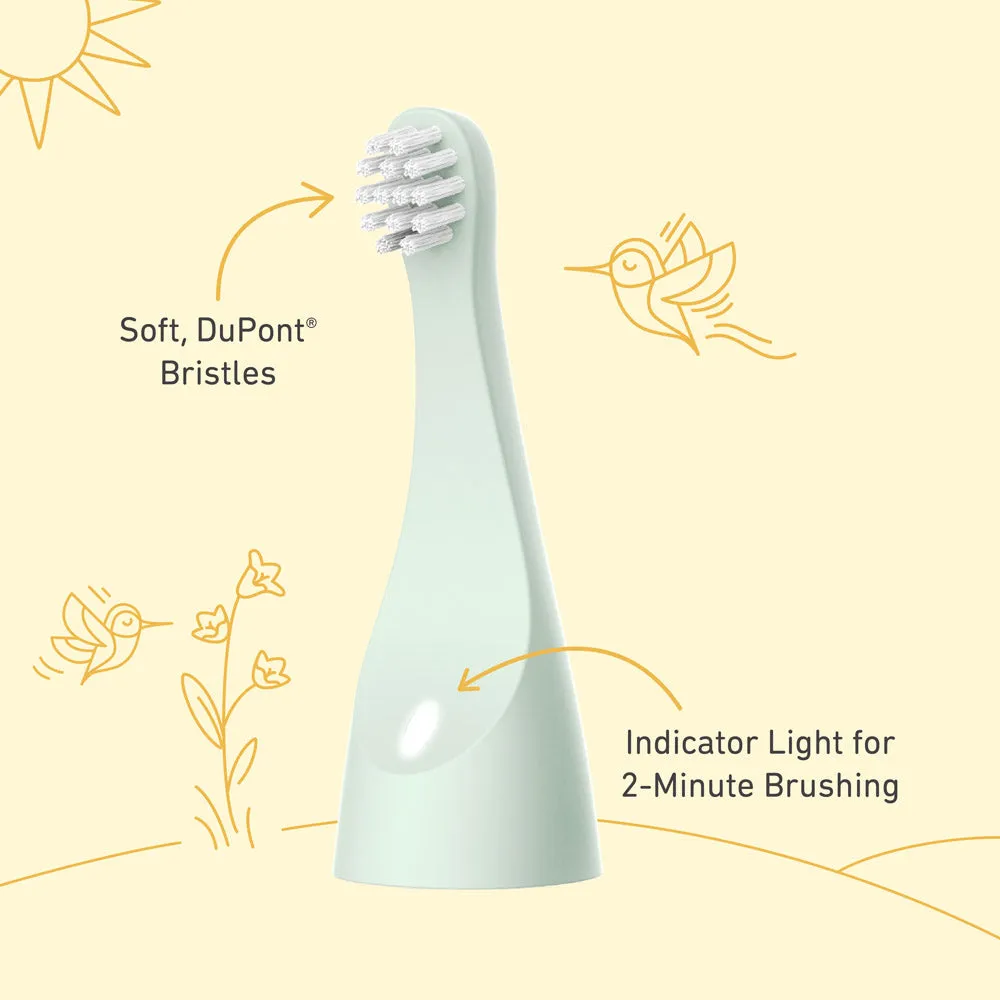 PureBaby Infant-to-Toddler Electric Toothbrush (PEBBYBSH-SG) - 2-Pack Replacement Bristle Brush Heads