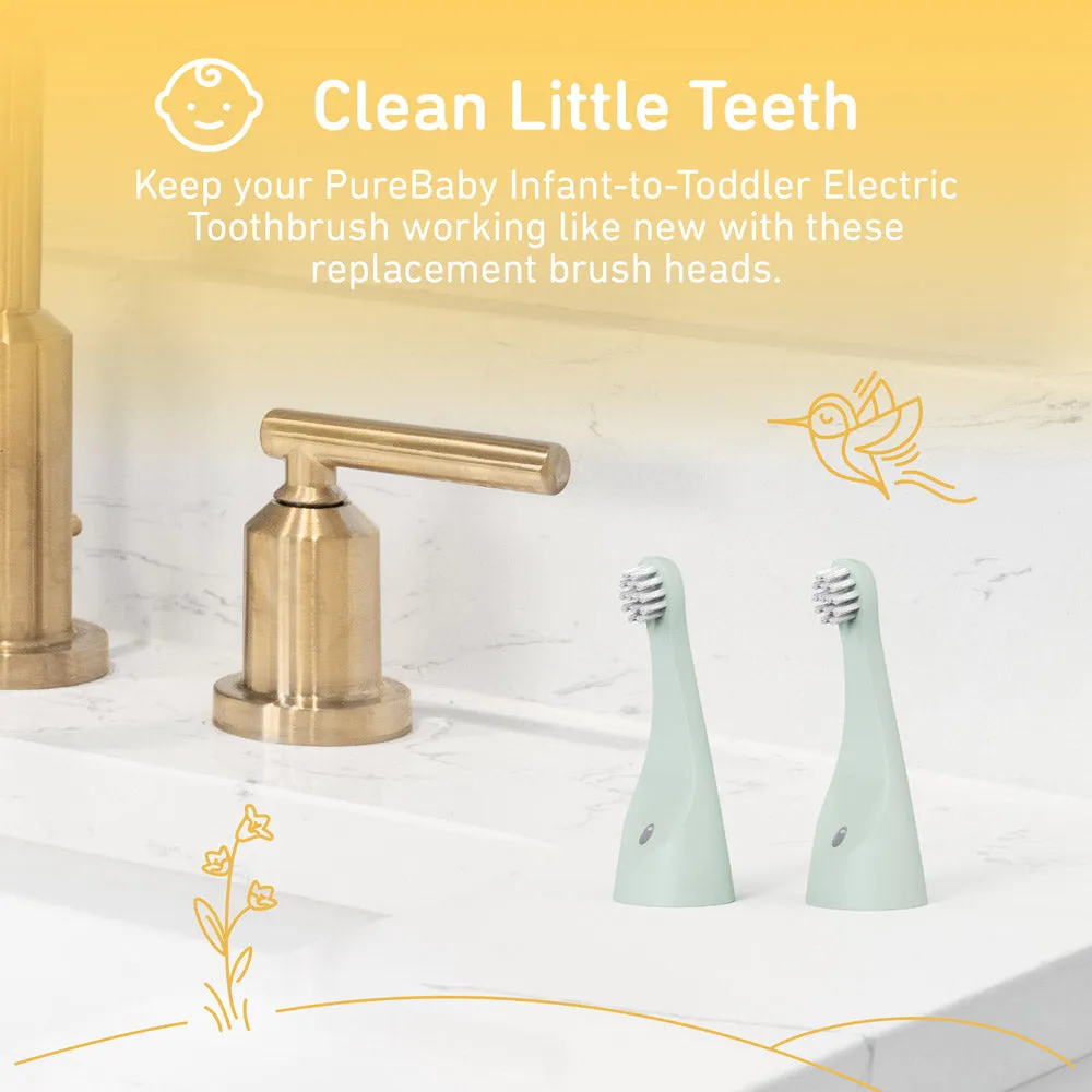 PureBaby Infant-to-Toddler Electric Toothbrush (PEBBYBSH-SG) - 2-Pack Replacement Bristle Brush Heads