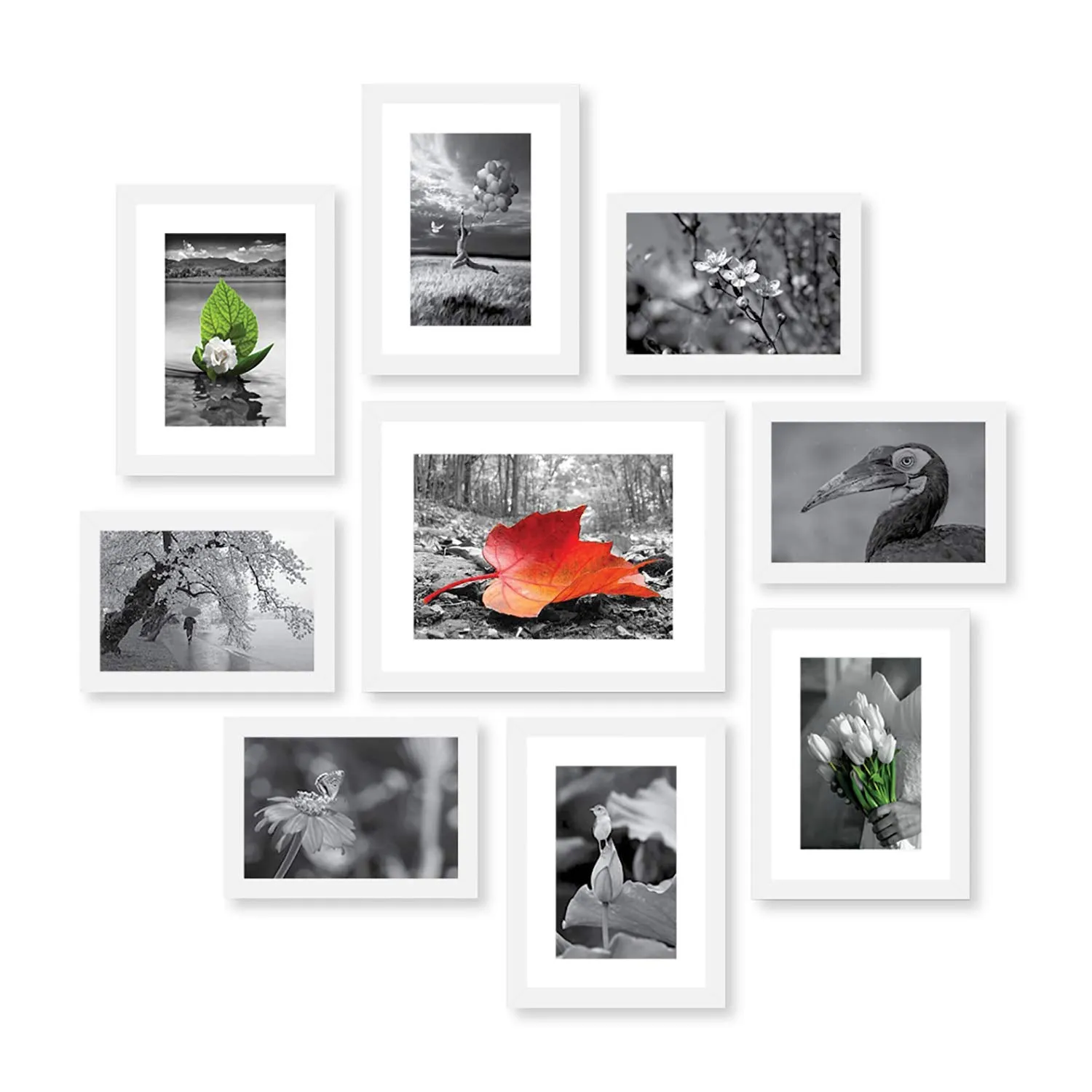 RANDOM Photo Frame of Photos and Picture for Home and Wall Decor For Living Room, Bedroom, Home, Office Set of 9 with 5 Mounts | Photo Collage (White, 5 X 7-4Pcs, 6 X 8-4Pcs & 8 X 10-1Pcs)