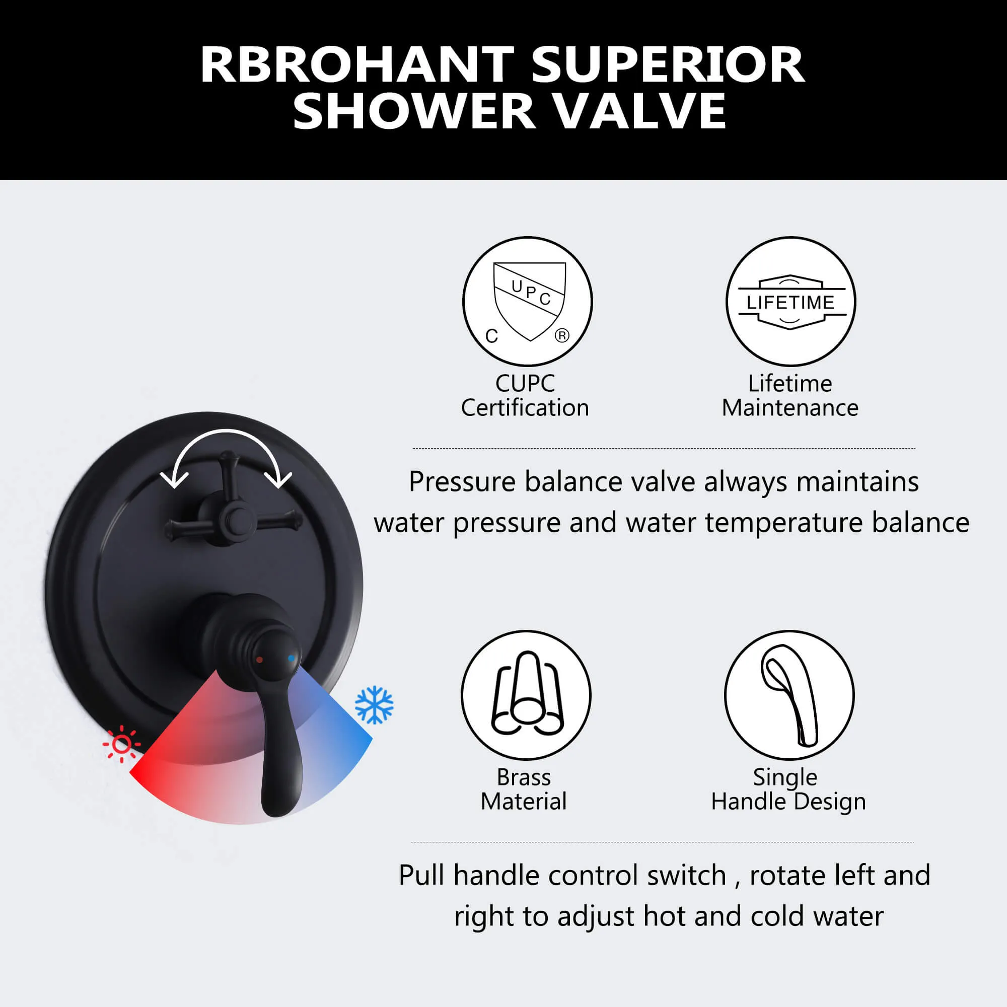 Wall Mount 2 Function Shower Faucet Set Matte Black RB1185